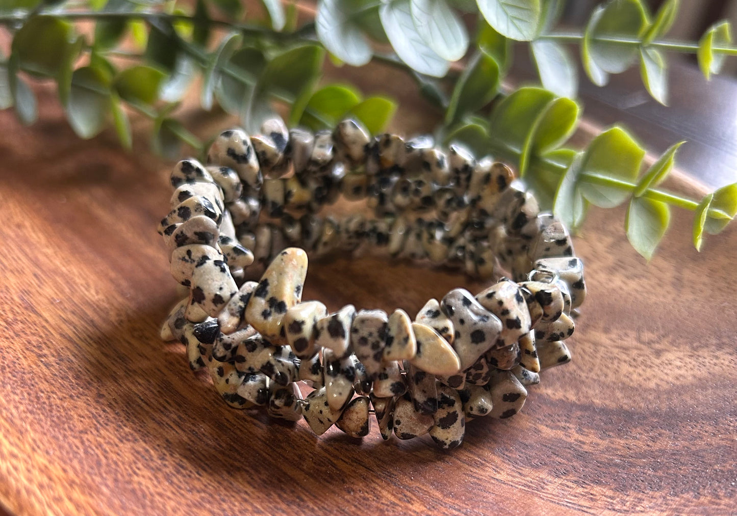 Dalmatian Jasper Bracelet