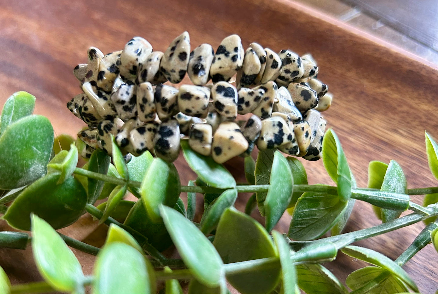 Dalmatian Jasper Bracelet